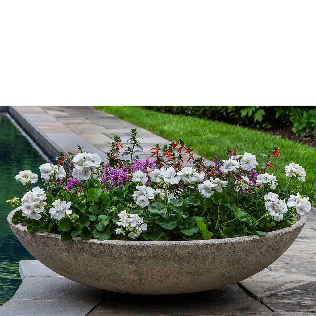 9 Best moss bowls to buy for Zen indoor gardening in 2021