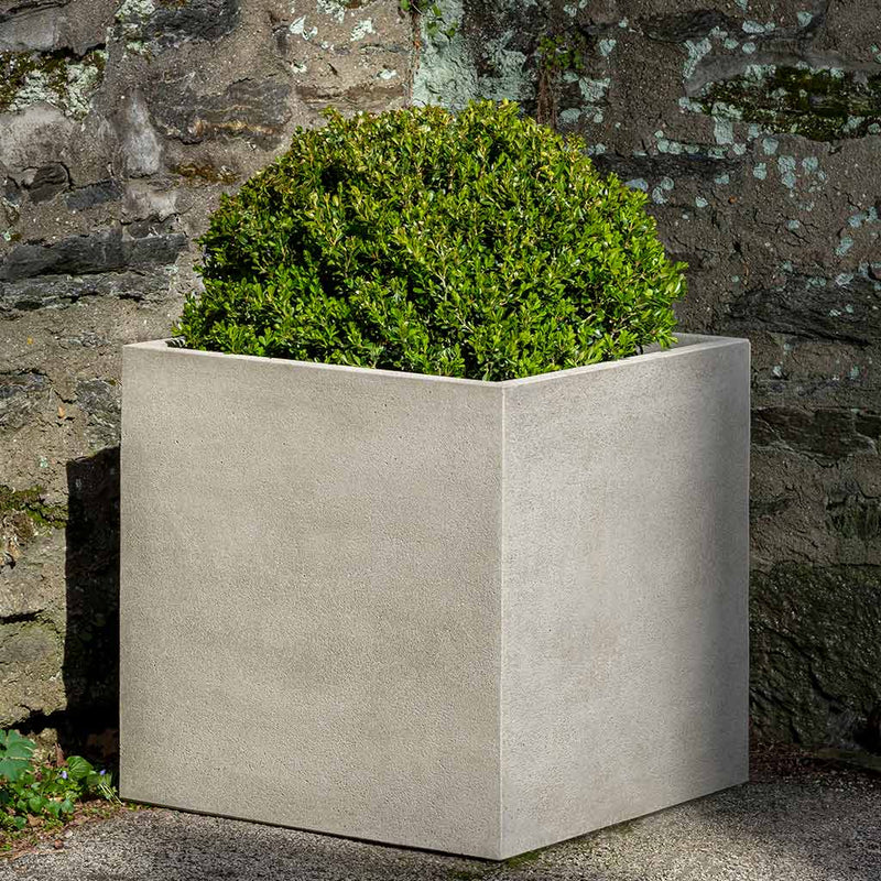 Campania International Medium Cube Planter