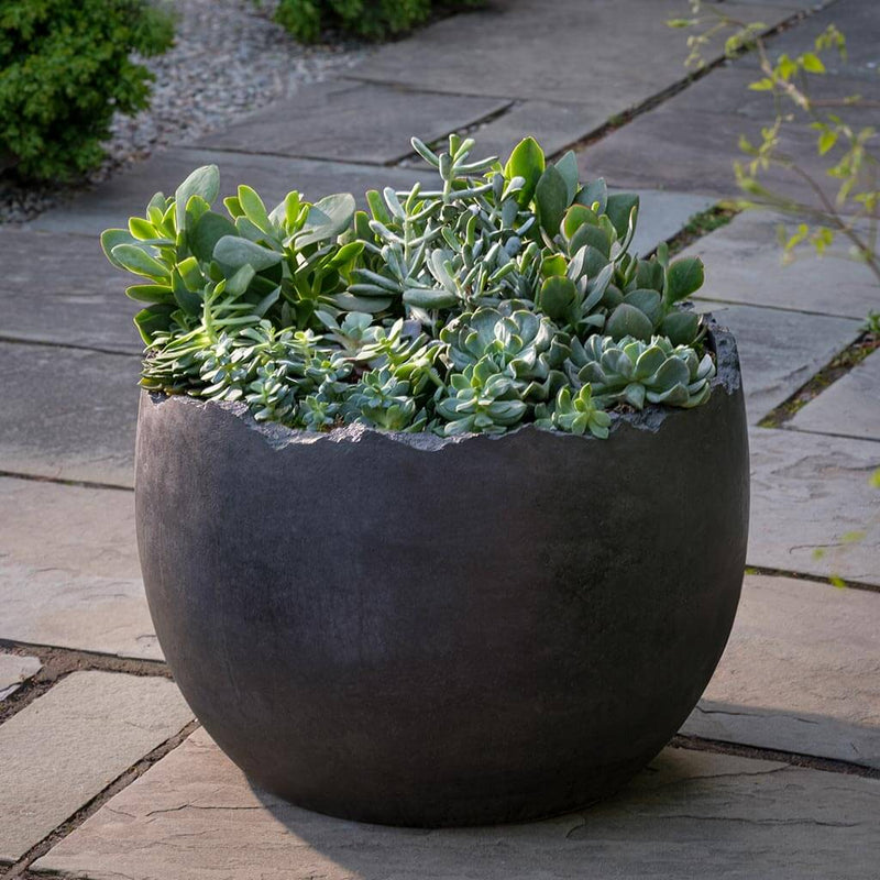 Campania International Broken Egg Planter Grade AA