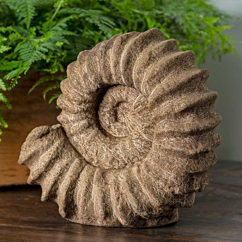 Campania International Sea Ammonite Garden Statue